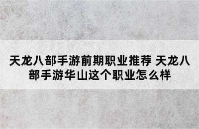 天龙八部手游前期职业推荐 天龙八部手游华山这个职业怎么样